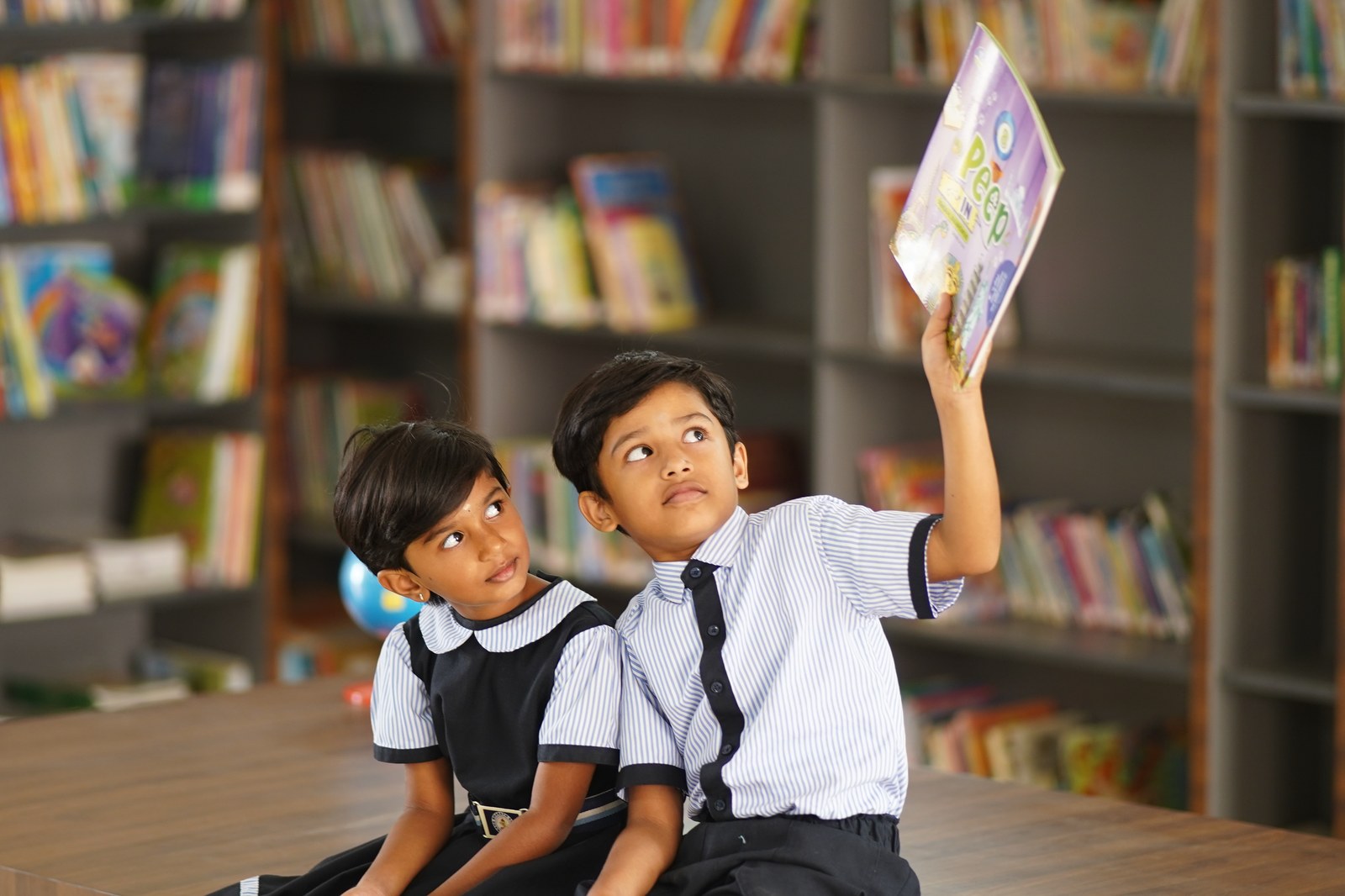 Primary school at NBIS
